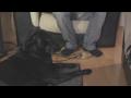 News video: Iams SO GOOD! Hosts Concert for Dogs