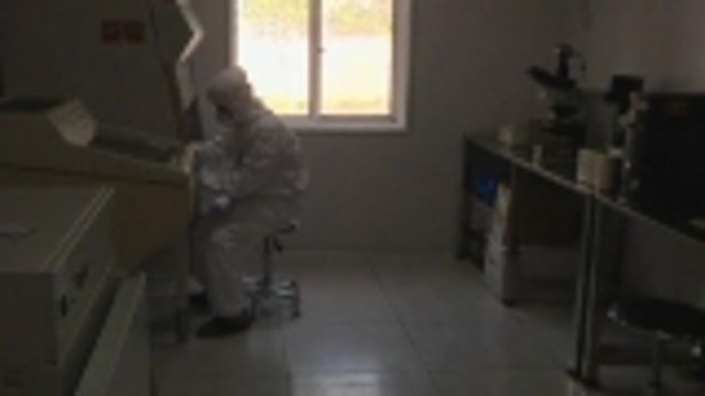 News video: North Korea says making efforts to contain bird flu